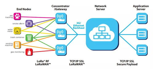 窄带物联网双雄争锋 NB-IoT与LoRa的技术路线争夺战